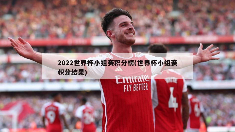 2022世界杯小组赛积分榜(世界杯小组赛积分结果)