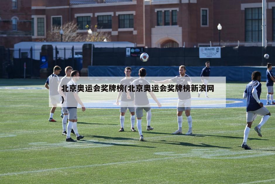 北京奥运会奖牌榜(北京奥运会奖牌榜新浪网)