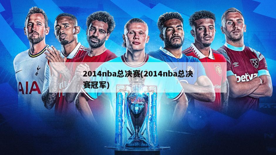 2014nba总决赛(2014nba总决赛冠军)