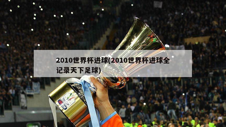 2010世界杯进球(2010世界杯进球全记录天下足球)