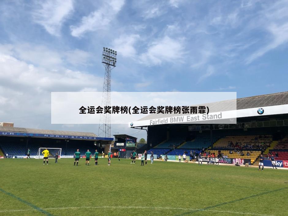 全运会奖牌榜(全运会奖牌榜张雨霏)