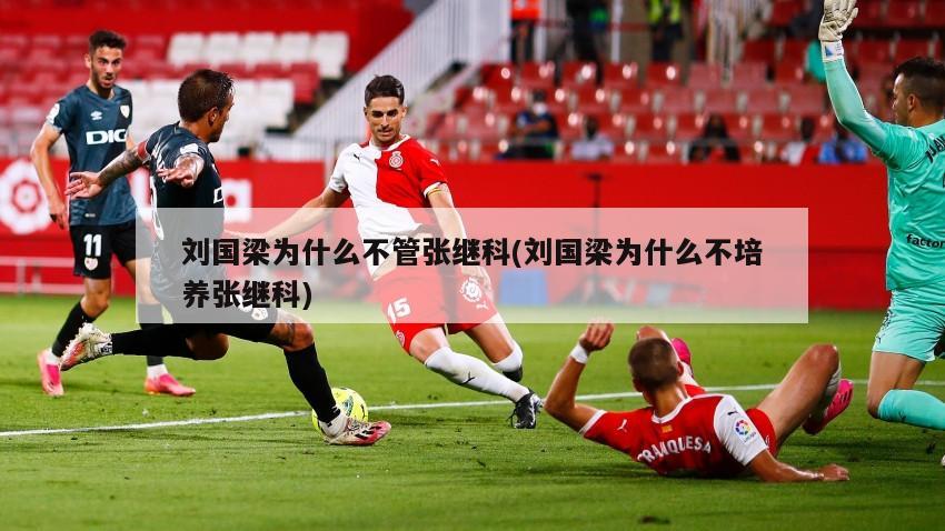 刘国梁为什么不管张继科(刘国梁为什么不培养张继科)