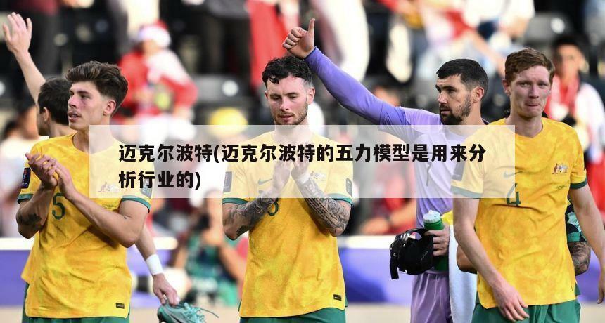 迈克尔波特(迈克尔波特的五力模型是用来分析行业的)