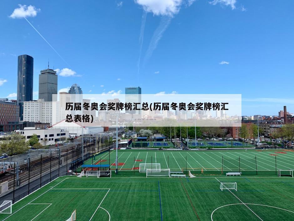 历届冬奥会奖牌榜汇总(历届冬奥会奖牌榜汇总表格)