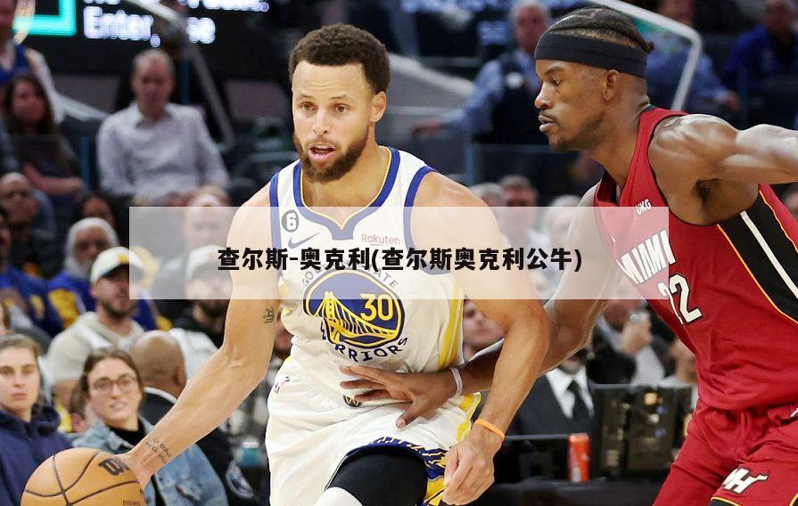 查尔斯-奥克利(查尔斯奥克利公牛)