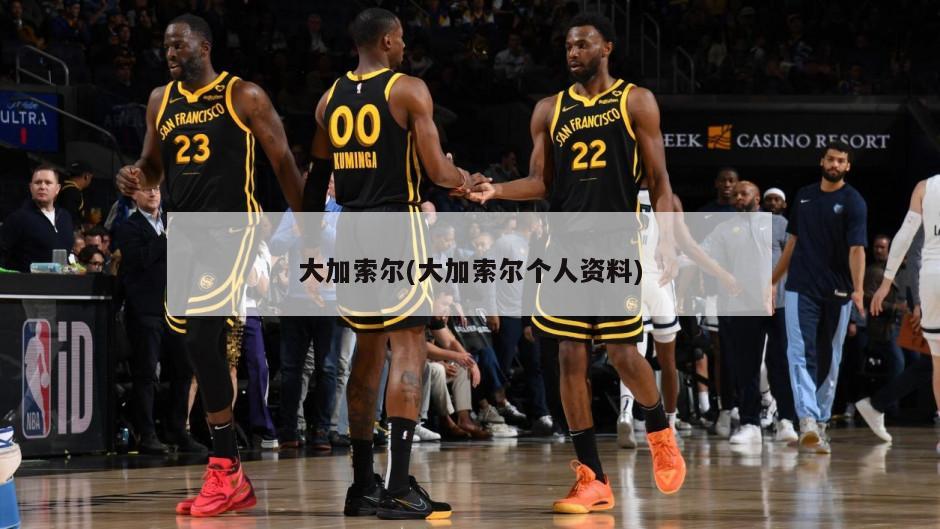大加索尔(大加索尔个人资料)