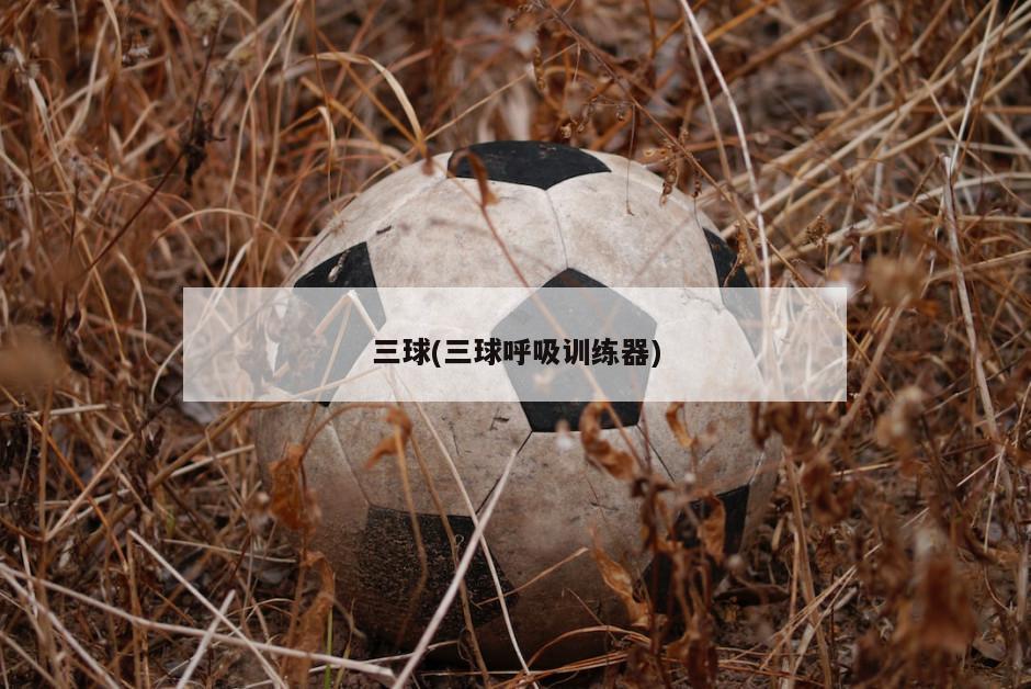 三球(三球呼吸训练器)