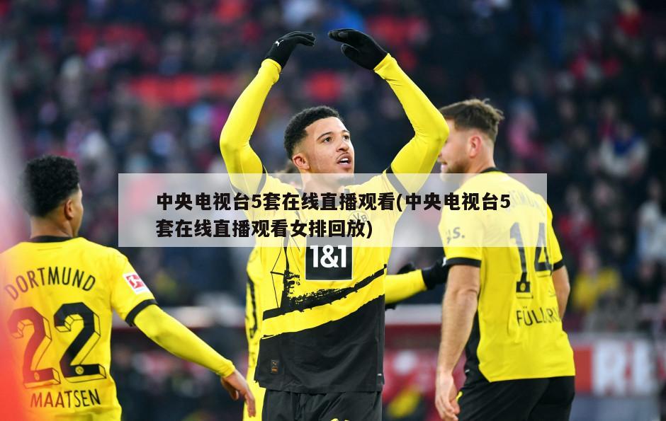 中央电视台5套在线直播观看(中央电视台5套在线直播观看女排回放)