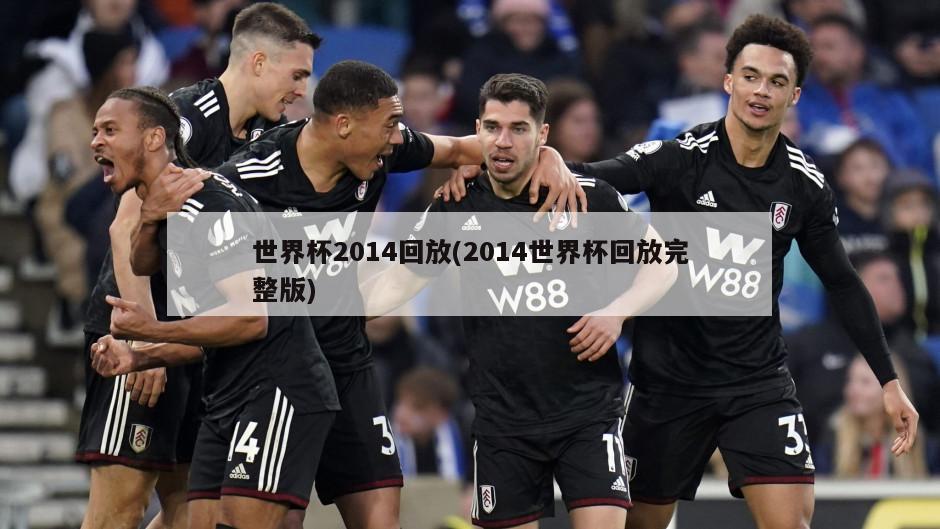 世界杯2014回放(2014世界杯回放完整版)