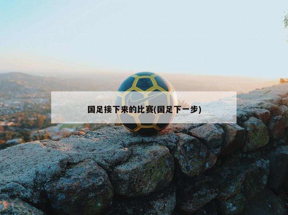国足接下来的比赛(国足下一步)