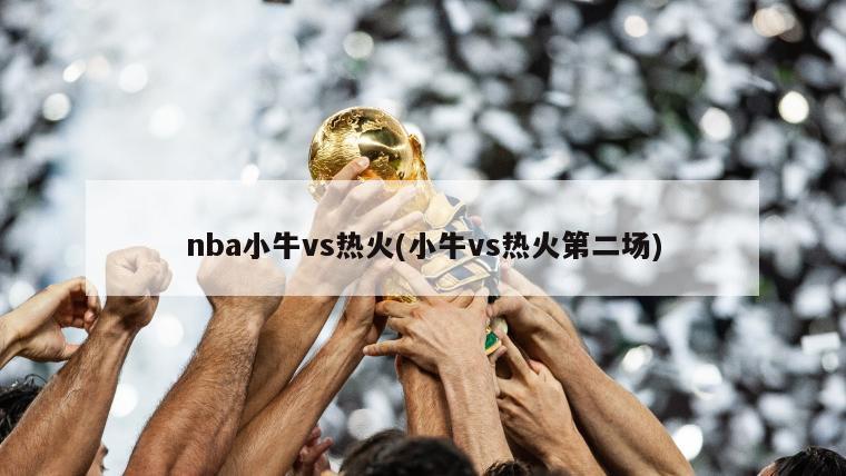 nba小牛vs热火(小牛vs热火第二场)