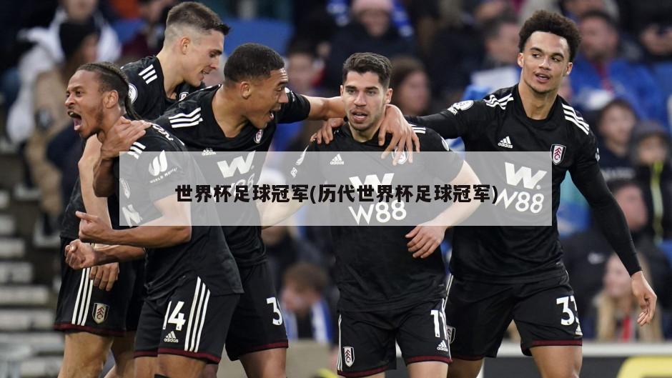 世界杯足球冠军(历代世界杯足球冠军)