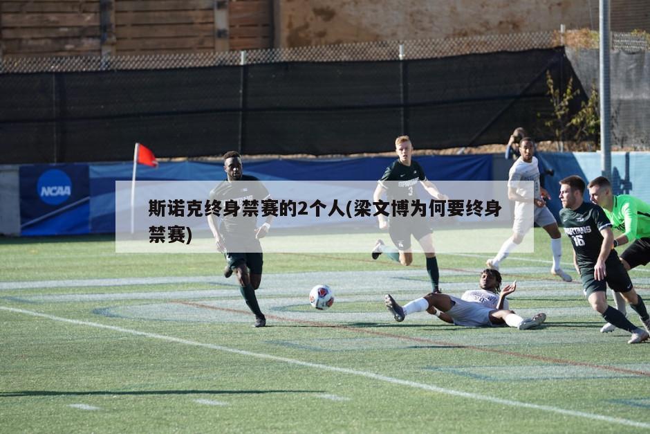 斯诺克终身禁赛的2个人(梁文博为何要终身禁赛)