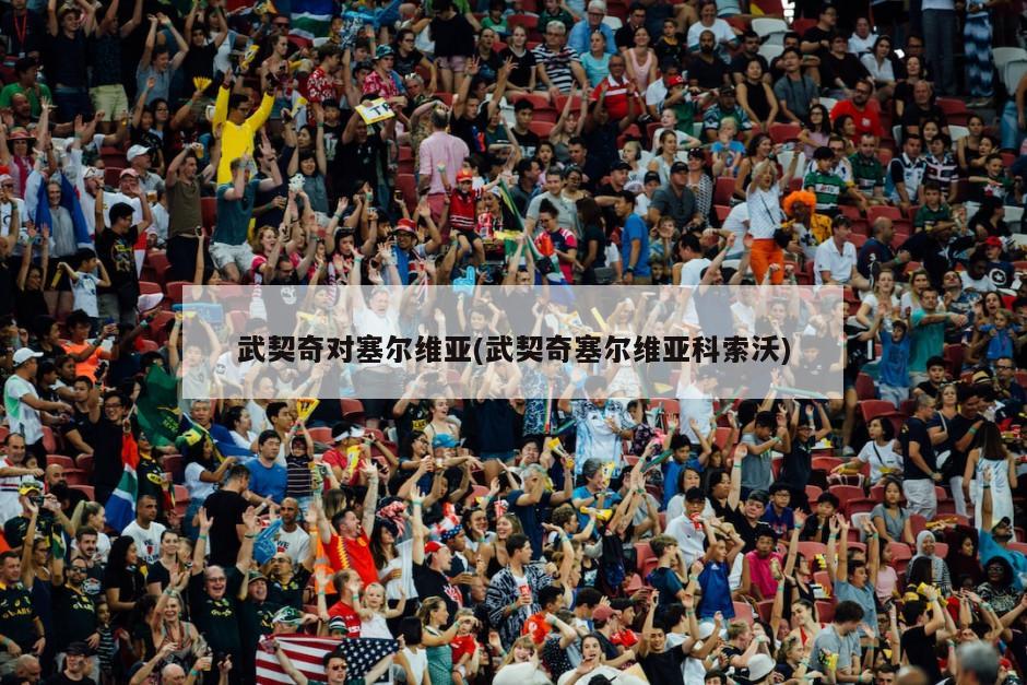 武契奇对塞尔维亚(武契奇塞尔维亚科索沃)