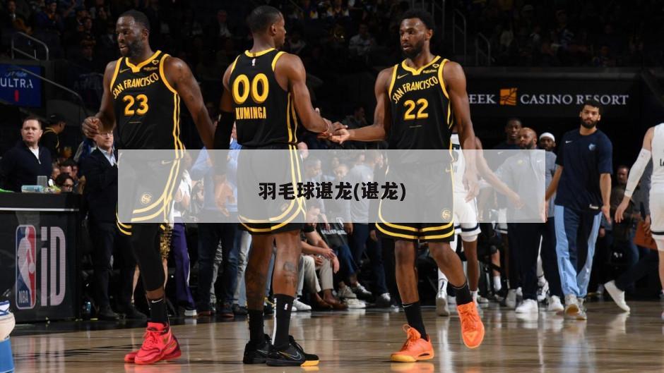 羽毛球谌龙(谌龙)