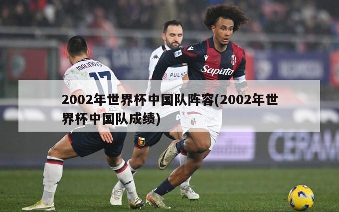 2002年世界杯中国队阵容(2002年世界杯中国队成绩)
