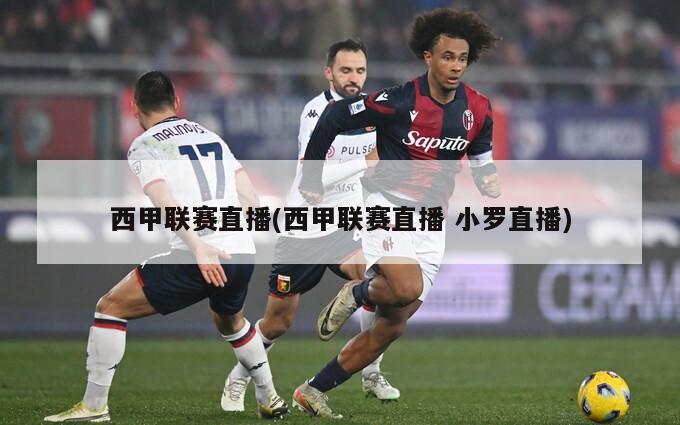 西甲联赛直播(西甲联赛直播 小罗直播)