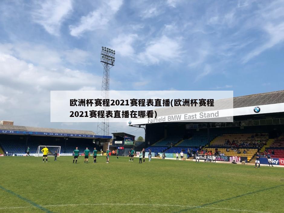 欧洲杯赛程2021赛程表直播(欧洲杯赛程2021赛程表直播在哪看)