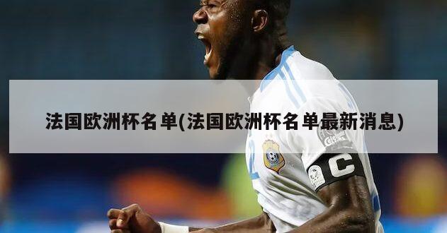 法国欧洲杯名单(法国欧洲杯名单最新消息)