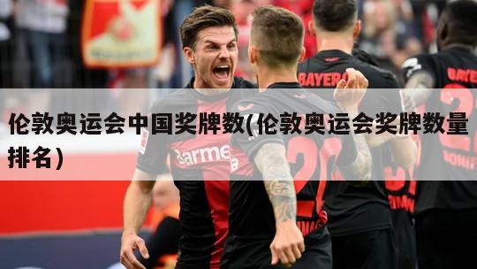 伦敦奥运会中国奖牌数(伦敦奥运会奖牌数量排名)