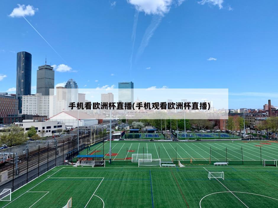 手机看欧洲杯直播(手机观看欧洲杯直播)