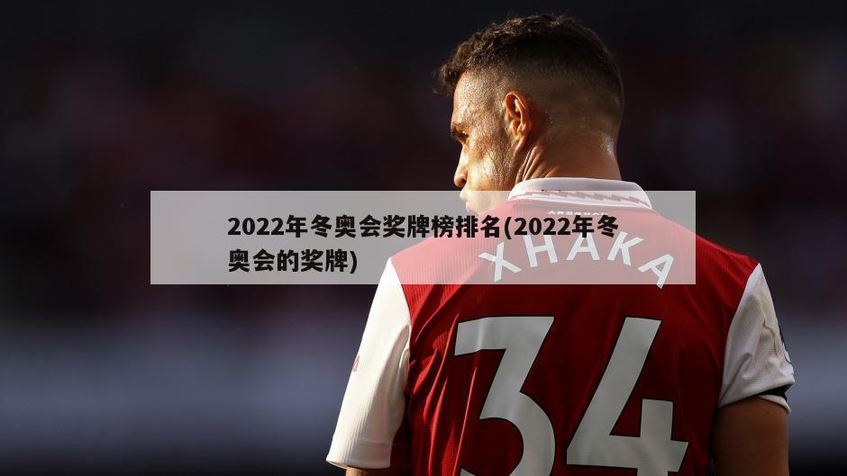 2022年冬奥会奖牌榜排名(2022年冬奥会的奖牌)