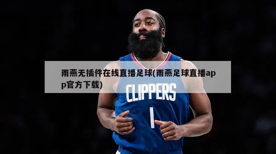 雨燕无插件在线直播足球(雨燕足球直播app官方下载)