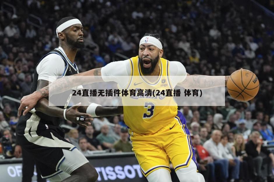24直播无插件体育高清(24直播 体育)