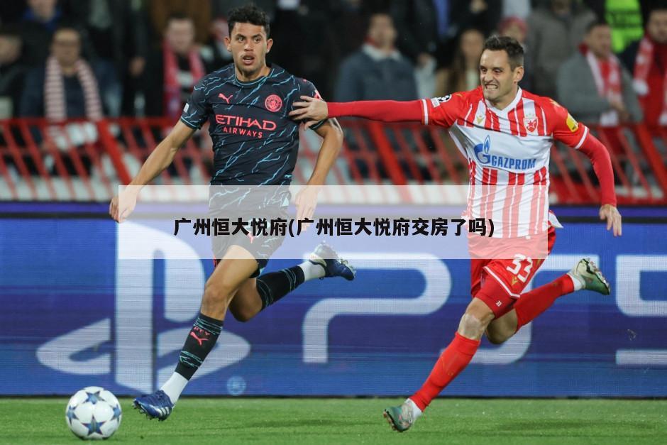 广州恒大悦府(广州恒大悦府交房了吗)