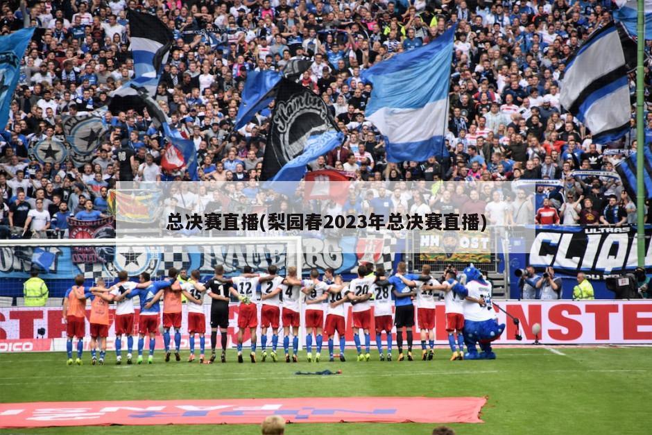 总决赛直播(梨园春2023年总决赛直播)