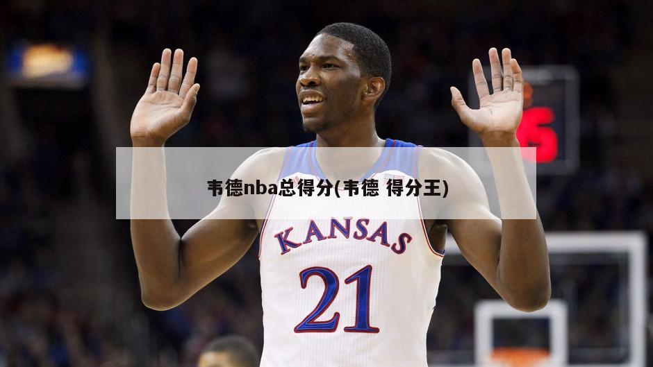 韦德nba总得分(韦德 得分王)