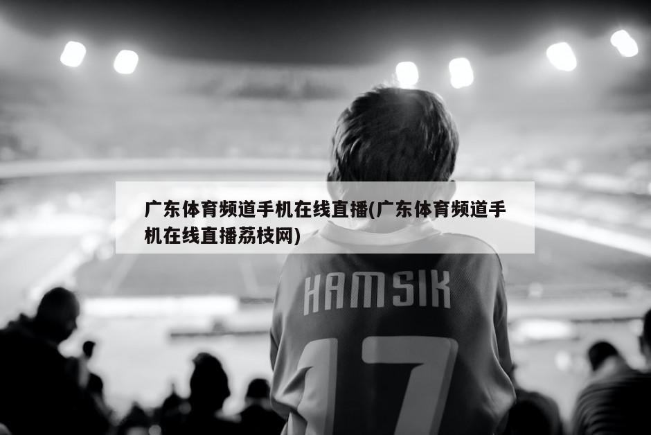 广东体育频道手机在线直播(广东体育频道手机在线直播荔枝网)