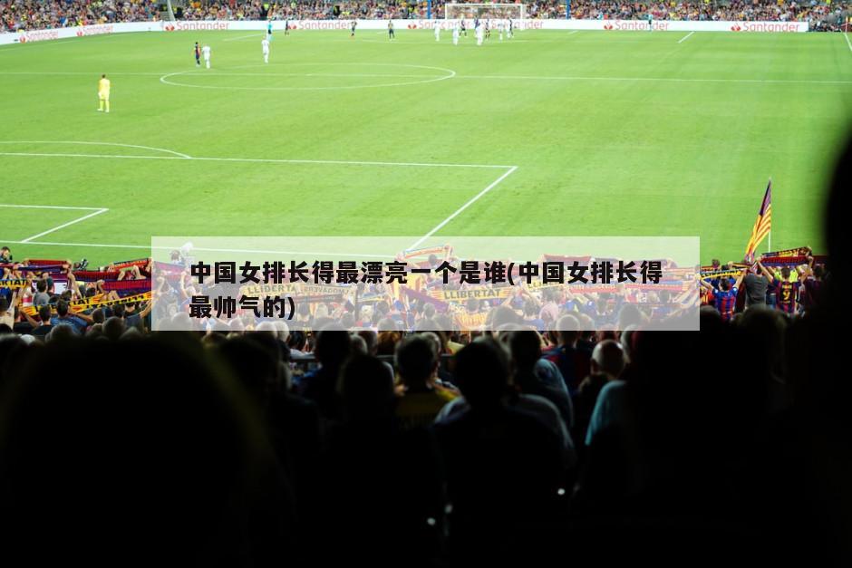 中国女排长得最漂亮一个是谁(中国女排长得最帅气的)