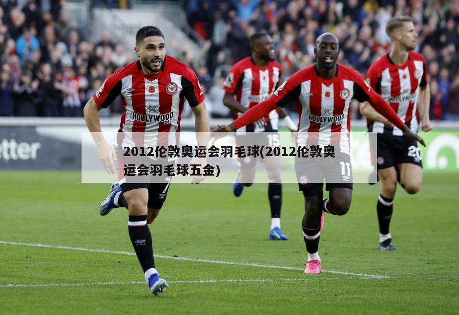 2012伦敦奥运会羽毛球(2012伦敦奥运会羽毛球五金)