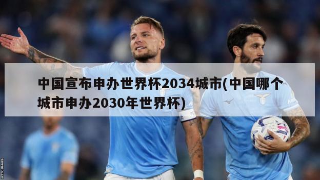 中国宣布申办世界杯2034城市(中国哪个城市申办2030年世界杯)