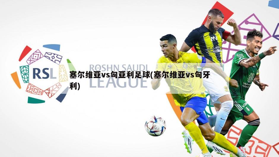 塞尔维亚vs匈亚利足球(塞尔维亚vs匈牙利)